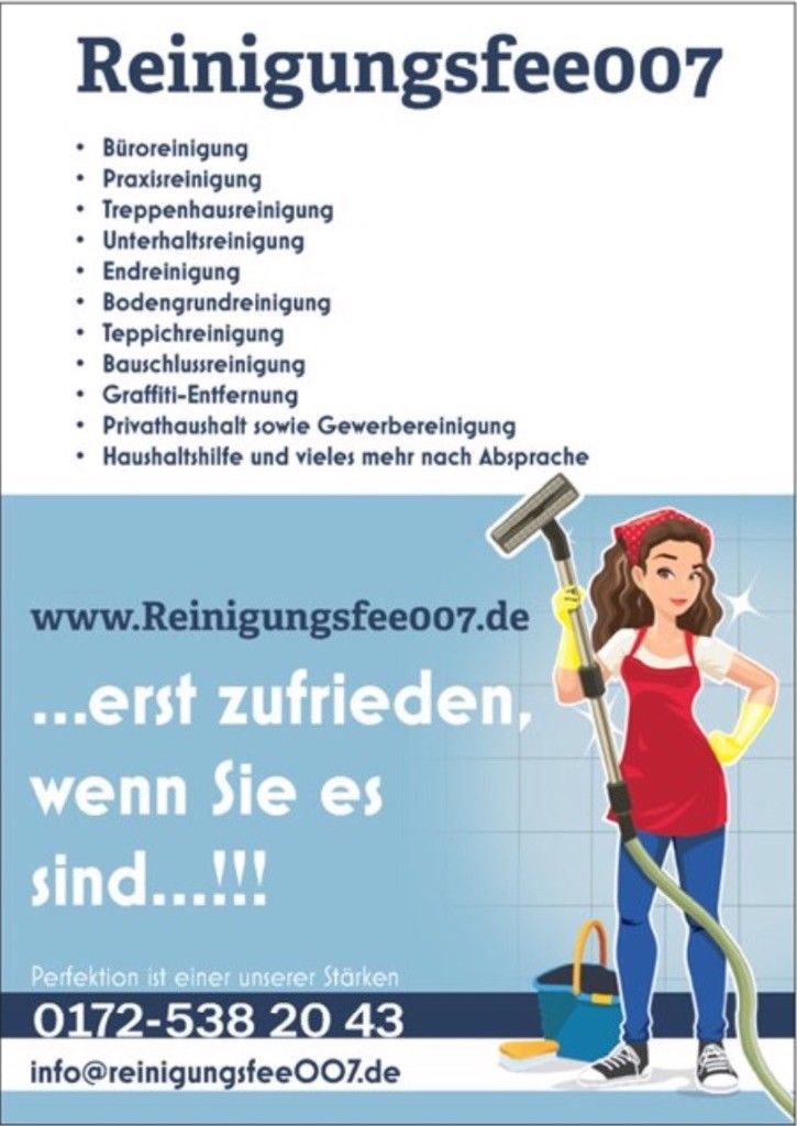 Reinigungsfee007